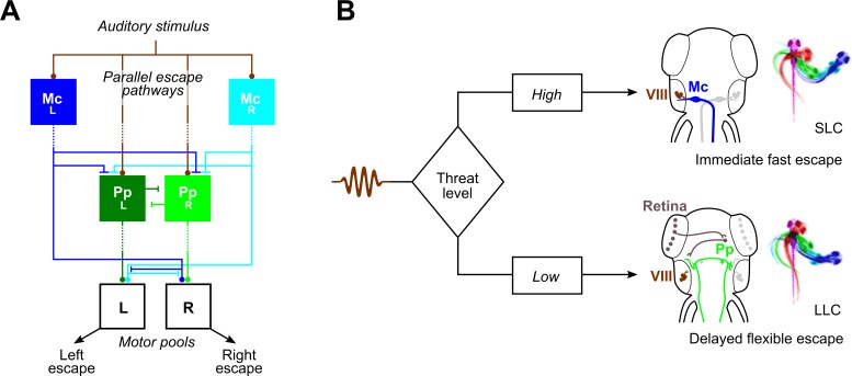 Fig 7