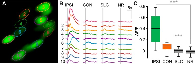 Fig 6