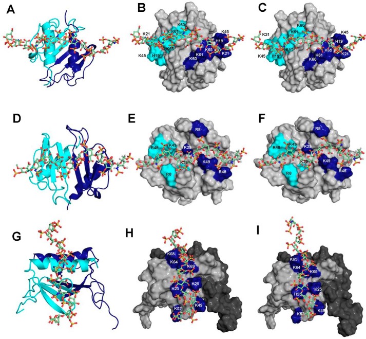 Figure 10.