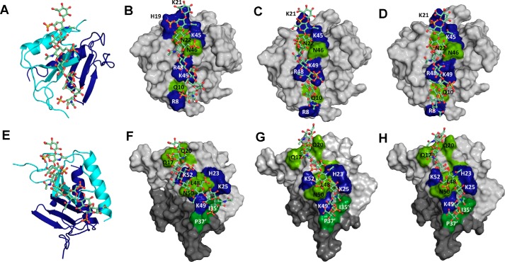 Figure 9.