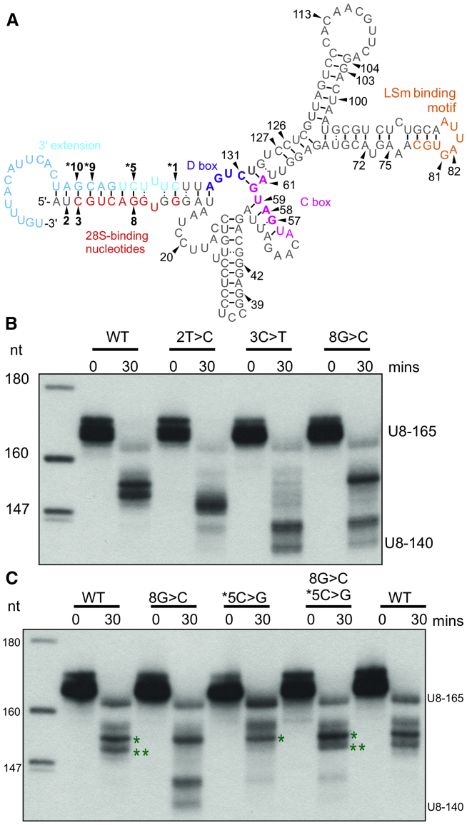 Figure 5