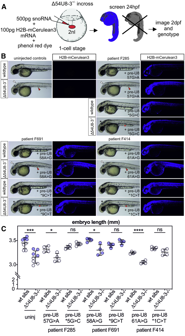 Figure 4