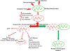 Fig 2: