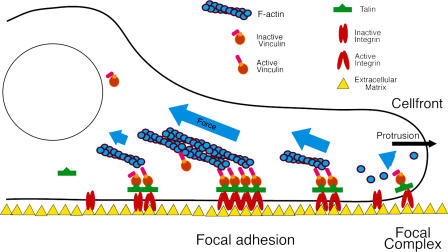 Figure 9.