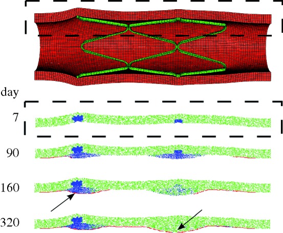 Figure 4.