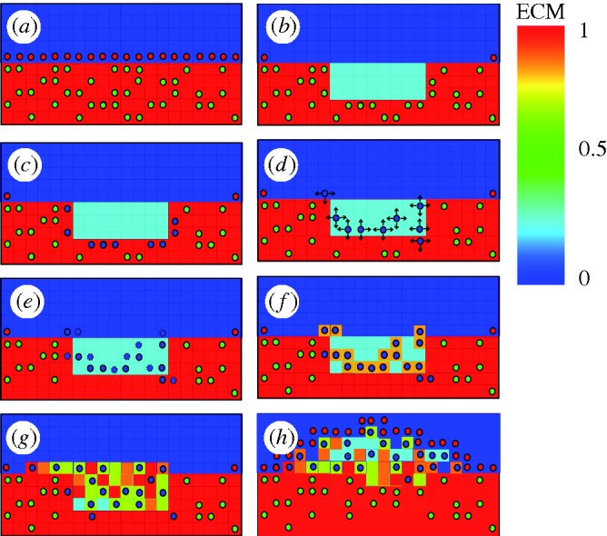 Figure 2.