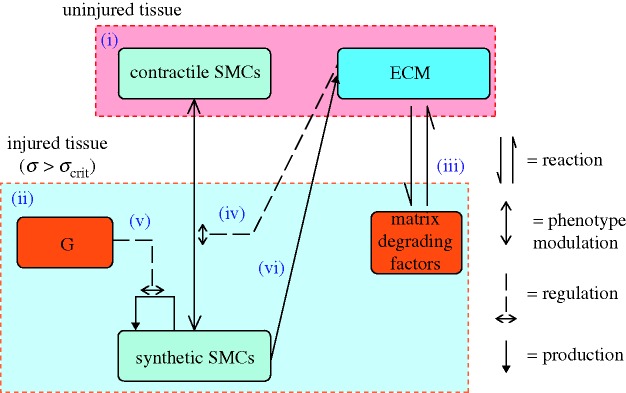 Figure 1.