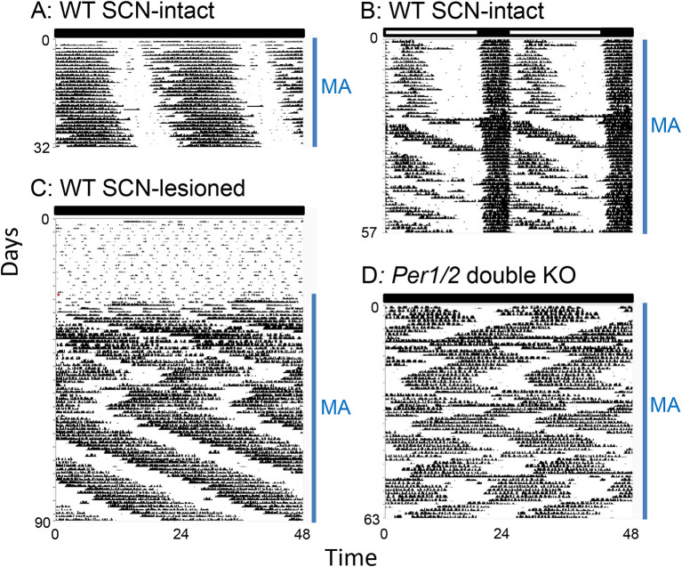 Figure 3. 