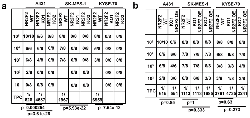 Extended Data Fig. 3