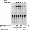 FIG. 7