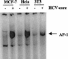 FIG. 6