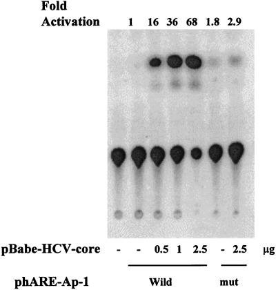 FIG. 7