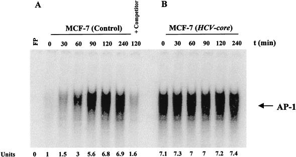 FIG. 5