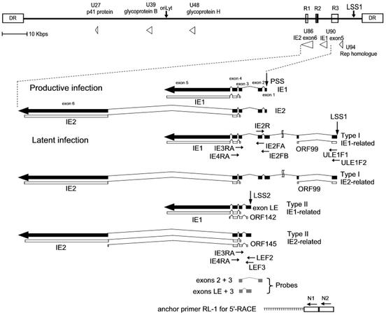 FIG. 1.