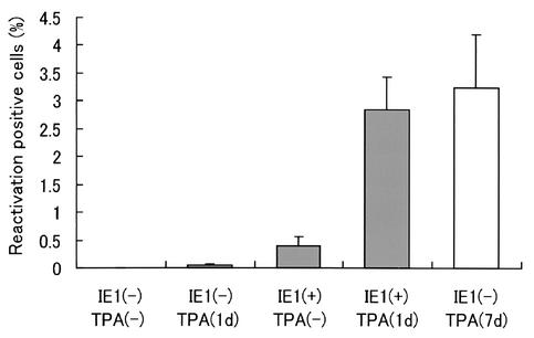 FIG. 5.