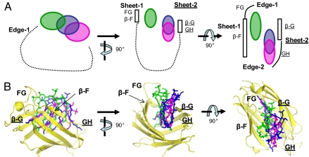 Fig. 6.