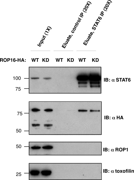 FIGURE 7.