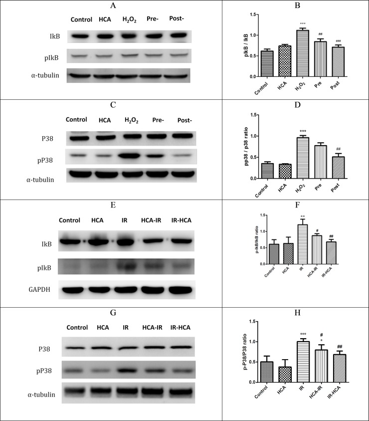 Fig 5