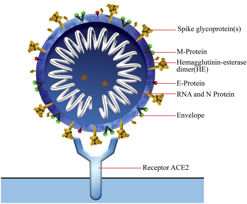 Fig. 2