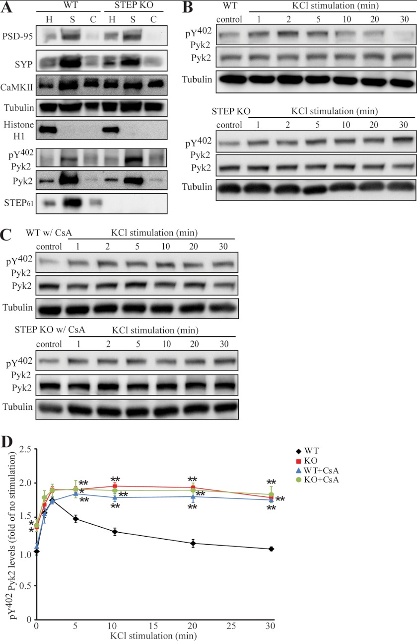 FIGURE 10.