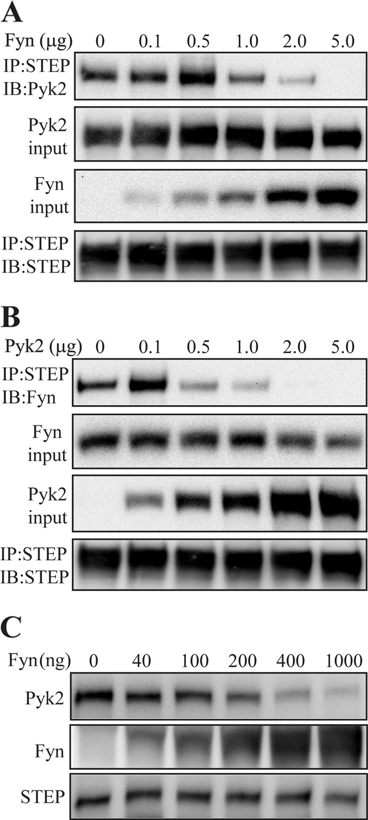 FIGURE 7.