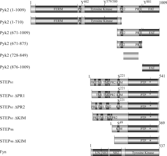 FIGURE 1.