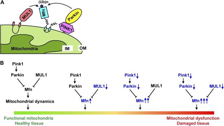 Figure 9.