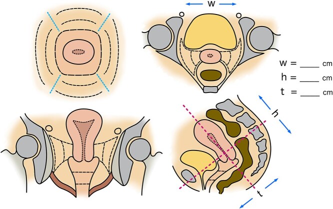 Fig. 1.