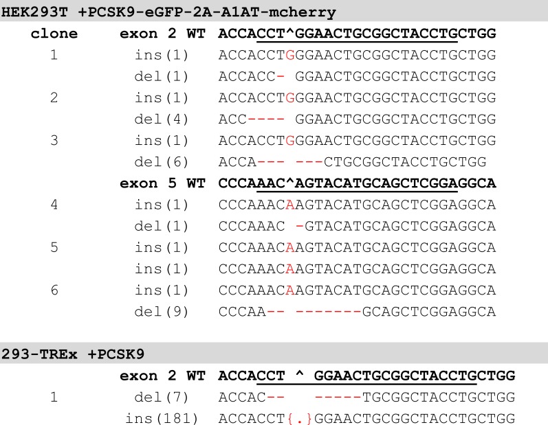 Figure 3—figure supplement 2.