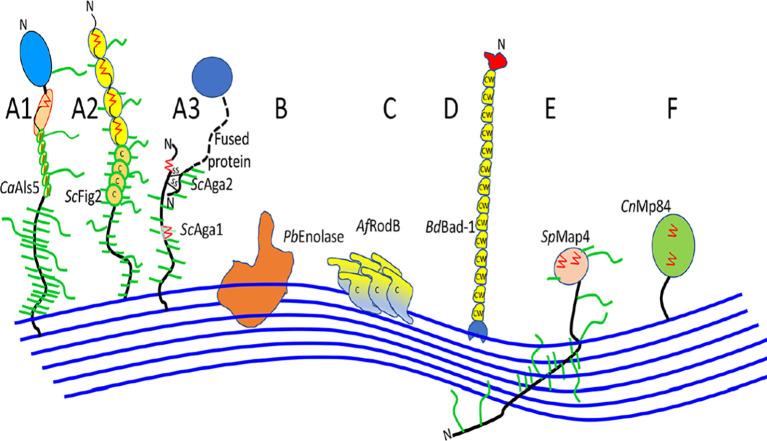 Figure 3. 