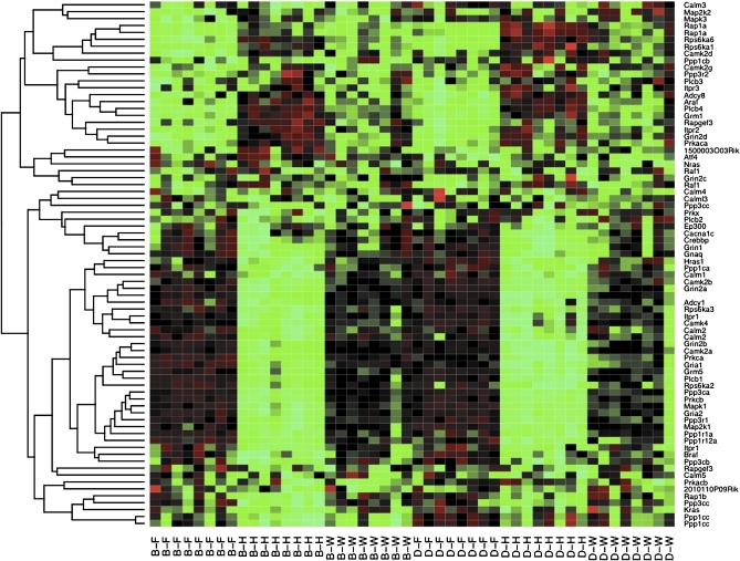 Figure 4 