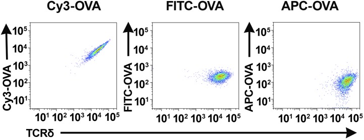 Figure 1—figure supplement 1.