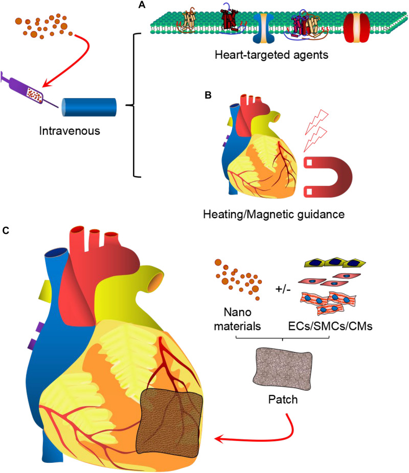 FIGURE 2