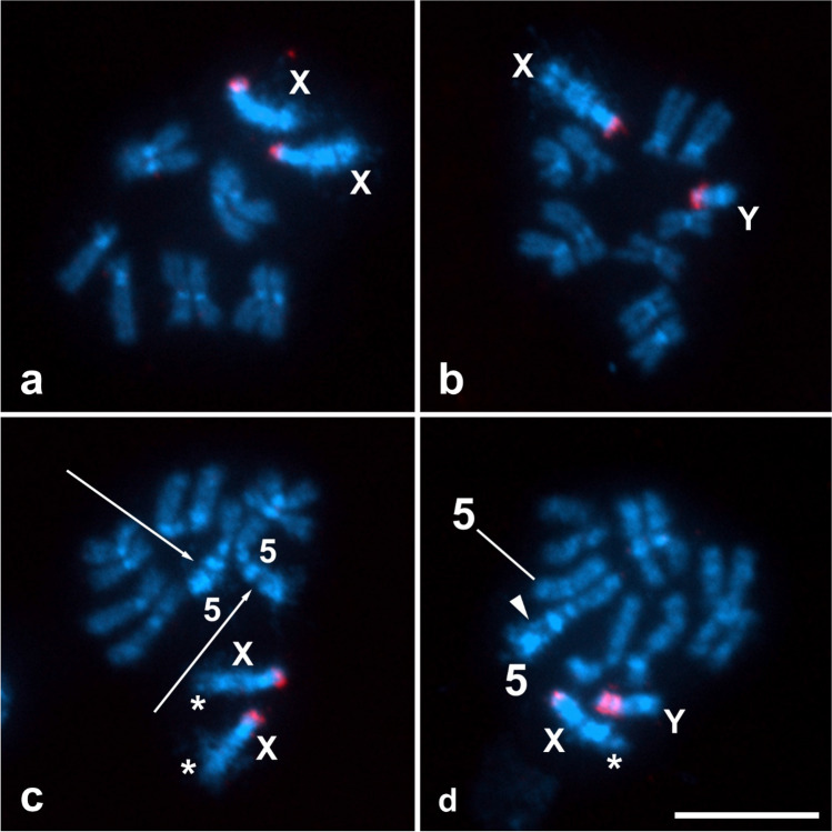 Figure 5