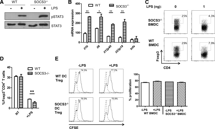 Figure 10.