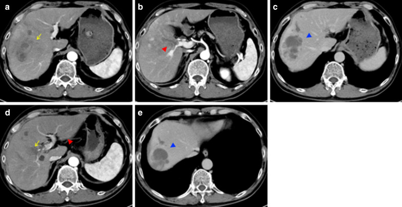 Fig. 3