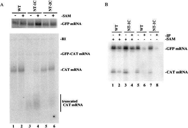 FIG. 5