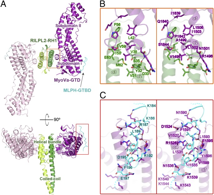 Fig. 4.