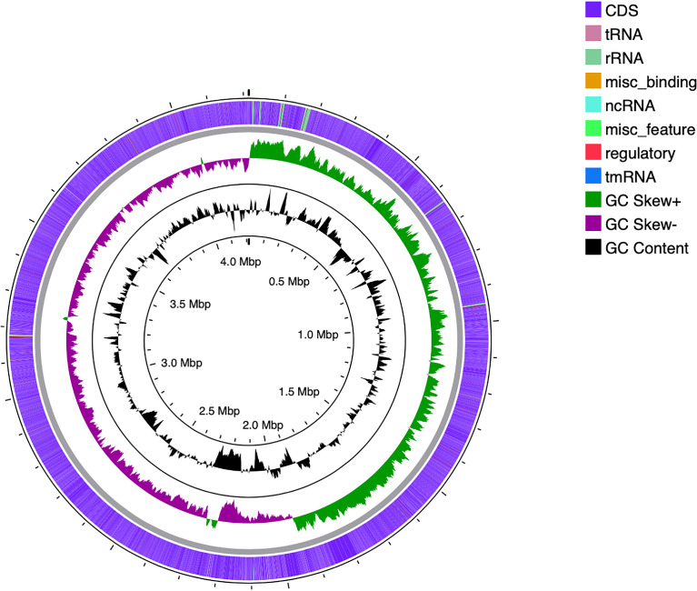 Fig 3