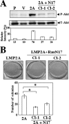 FIG. 4.