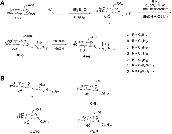 Scheme 1