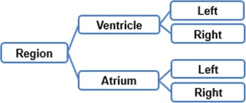 Fig. 8