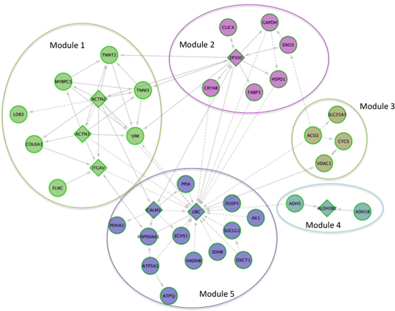 Figure 4: