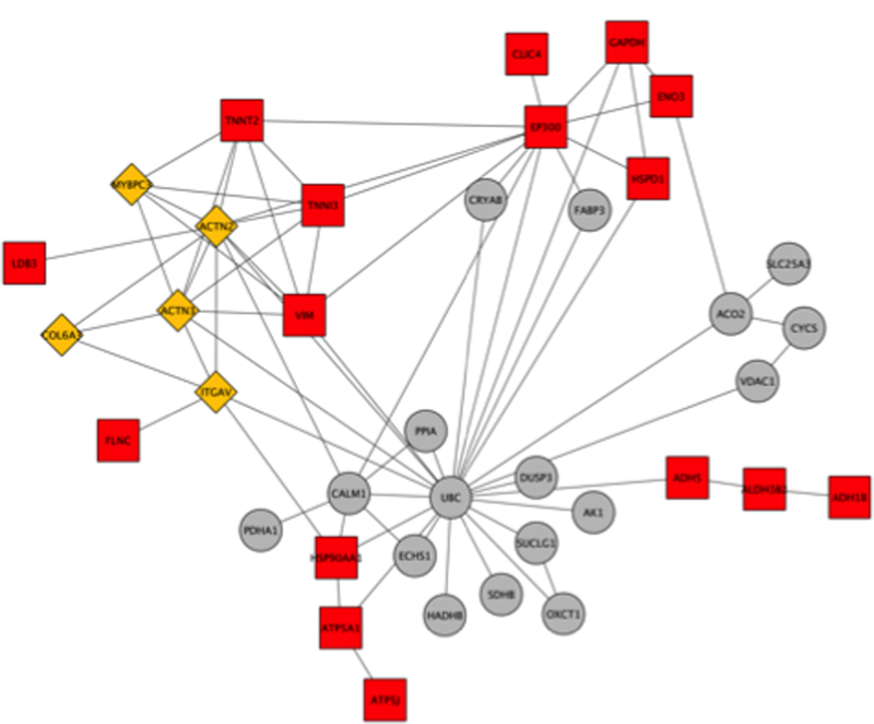 Figure 5: