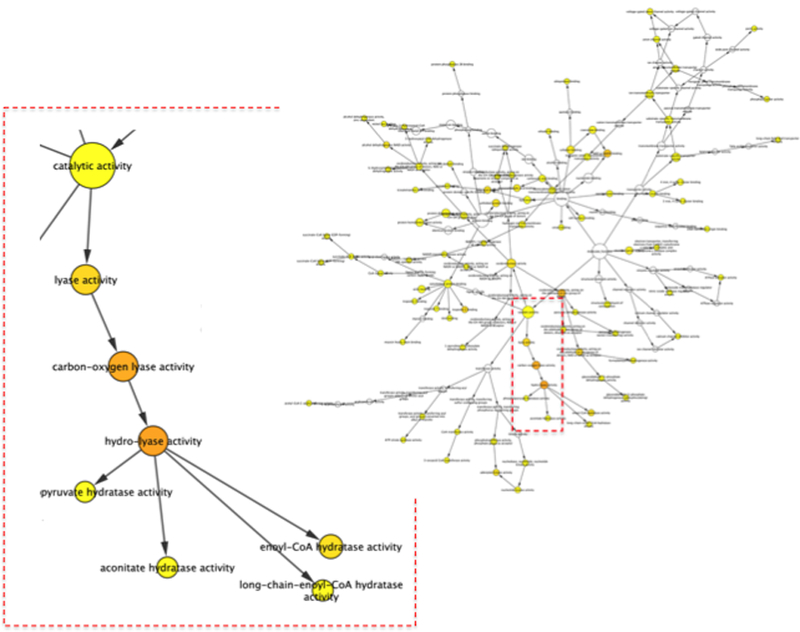 Figure 7: