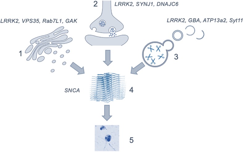 FIGURE 2