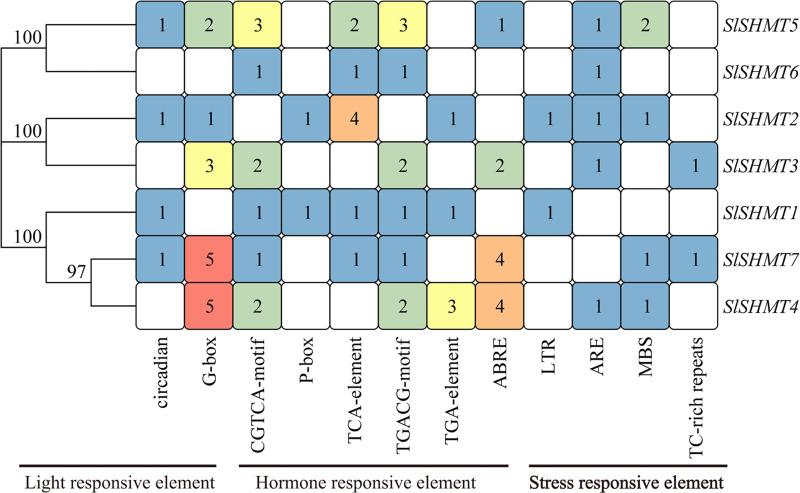 Figure 7