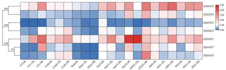 Figure 10