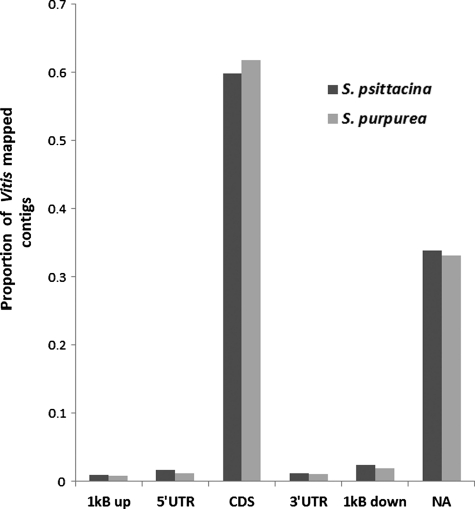 Figure 3.