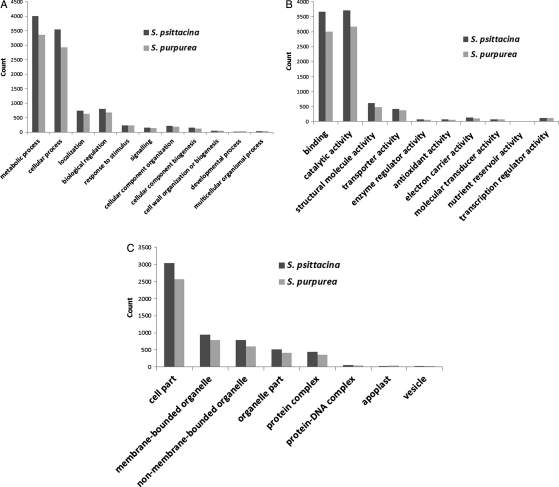 Figure 2.